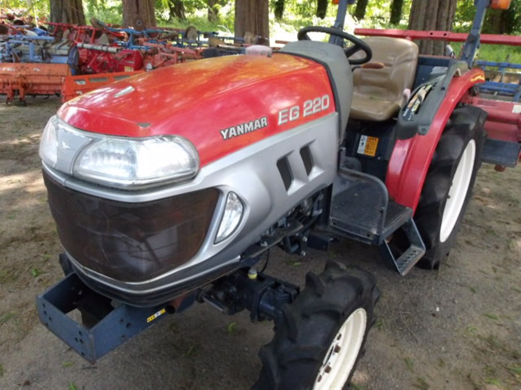 Yanmar EG220